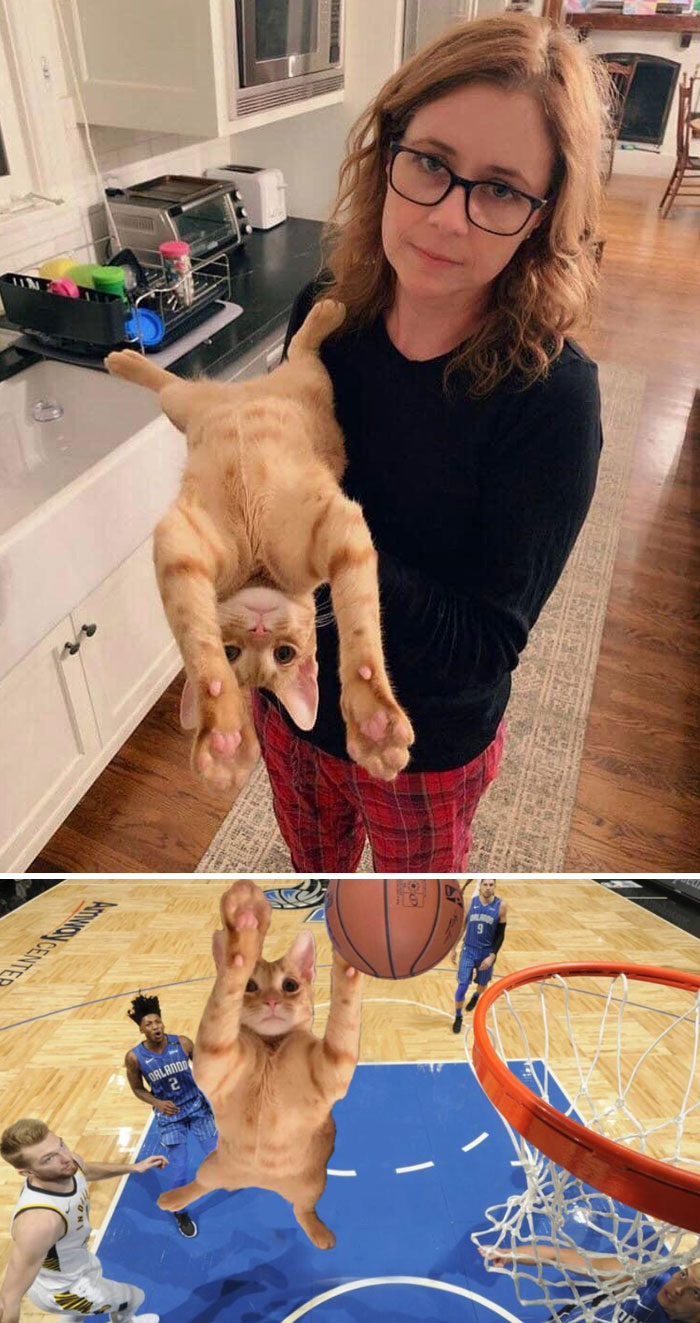 Jenna Fischer And Her Cat