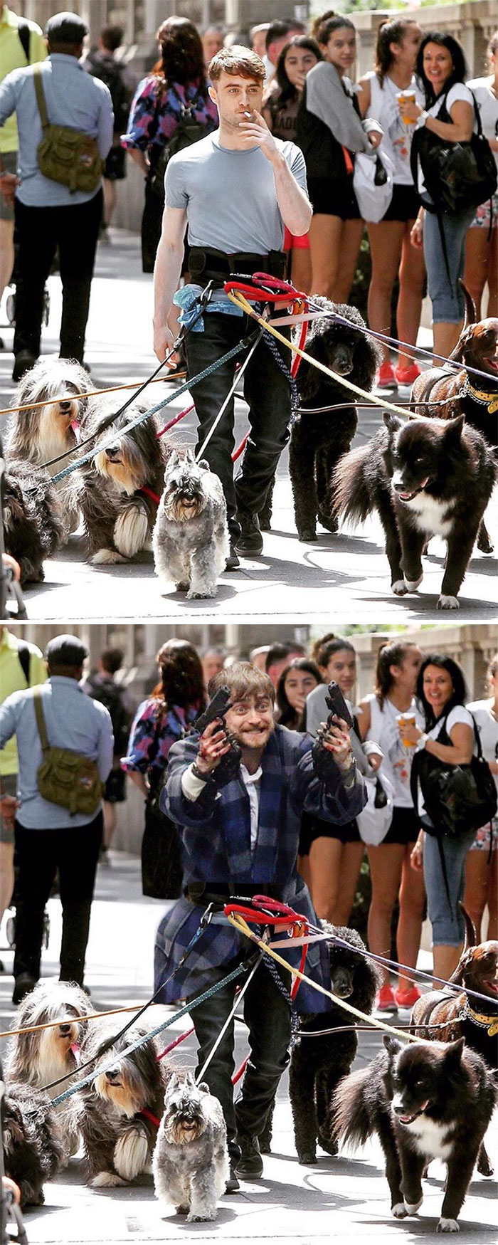 Daniel Radcliffe Walking Dogs