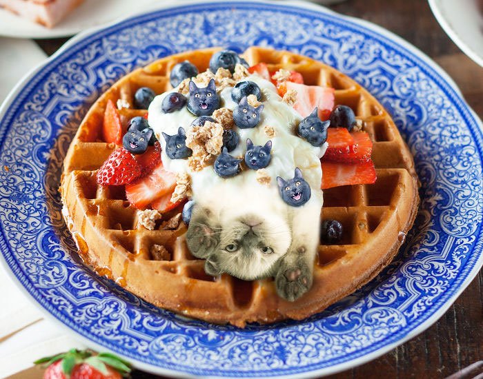 I Photoshop Two Of The Best Things In The World Together – Cats And Food (30 New Pics)