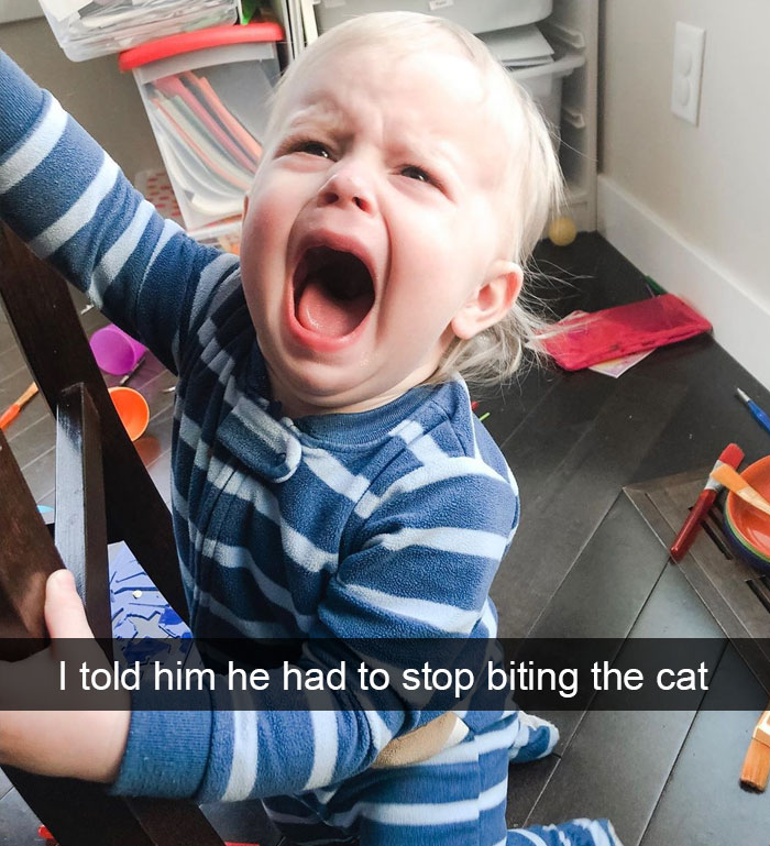 I Told Him He Had To Stop Biting The Cat