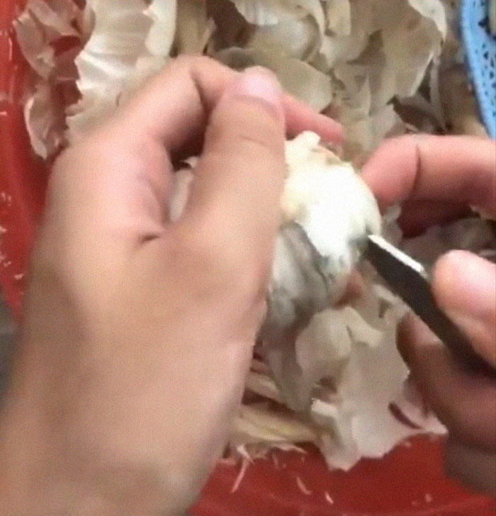 Woman's Garlic Peeling Hack Goes Viral And People Regret The Time They Wasted Doing It The Wrong Way Woman's Garlic Peeling Hack Goes Viral And People Regret The Time They Wasted Doing It The Wrong Way