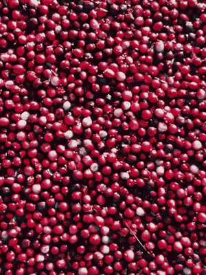 Strange Red Field Near Vancouver Strange Red Field Near Vancouver