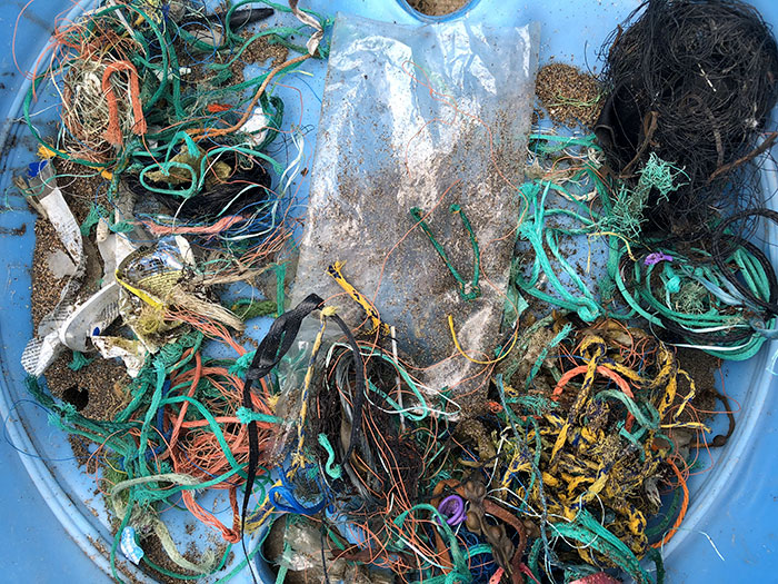 70-Year-Old Grandma Cleans 52 Beaches In One Year After Watching A Documentary About Plastic Pollution 70-Year-Old Grandma Cleans 52 Beaches In One Year After Watching A Documentary About Plastic Pollution