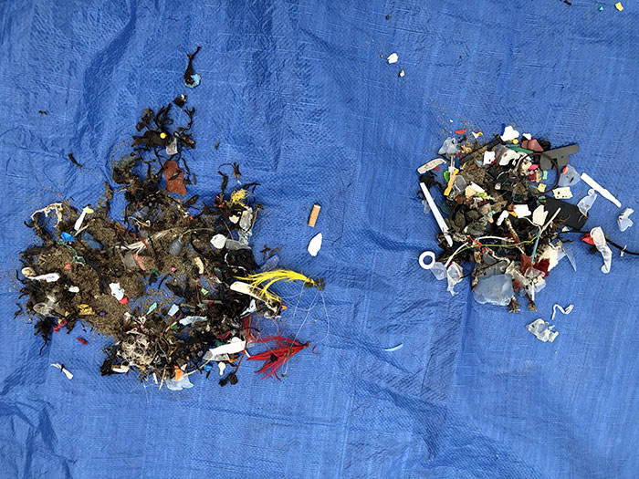 70-Year-Old Grandma Cleans 52 Beaches In One Year After Watching A Documentary About Plastic Pollution 70-Year-Old Grandma Cleans 52 Beaches In One Year After Watching A Documentary About Plastic Pollution