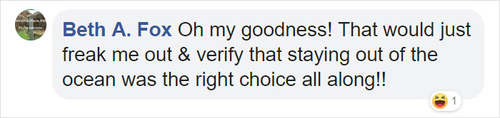 Graffiti Artist Turns A Beach Stone Into A Great White Shark And People Post Their Best Pics With It Graffiti Artist Turns A Beach Stone Into A Great White Shark And People Post Their Best Pics With It