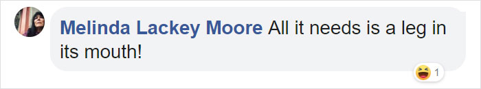 Graffiti Artist Turns A Beach Stone Into A Great White Shark And People Post Their Best Pics With It Graffiti Artist Turns A Beach Stone Into A Great White Shark And People Post Their Best Pics With It