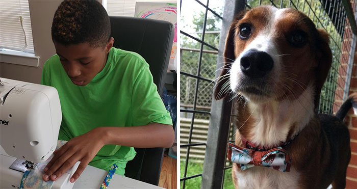12-Year-Old Kid Makes Shelter Cats And Dogs Stylish Bow Ties To Help Them Find A Home