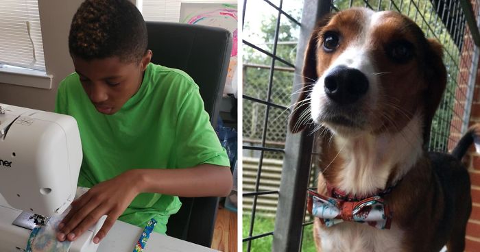 12-Year-Old Kid Makes Shelter Cats And Dogs Stylish Bow Ties To Help Them Find A Home