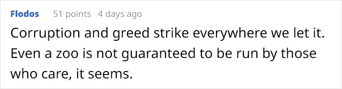 People Are Trying To Convince The Bronx Zoo To Release Happy The Elephant And This Thread Explains Why