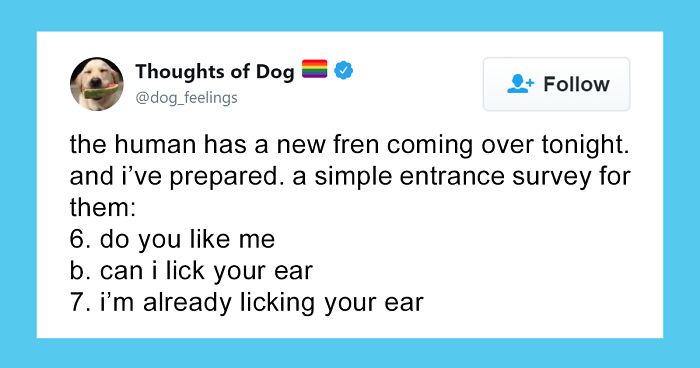 30 Of The Funniest Dog Thoughts That Dog Owners Will Understand Too Well