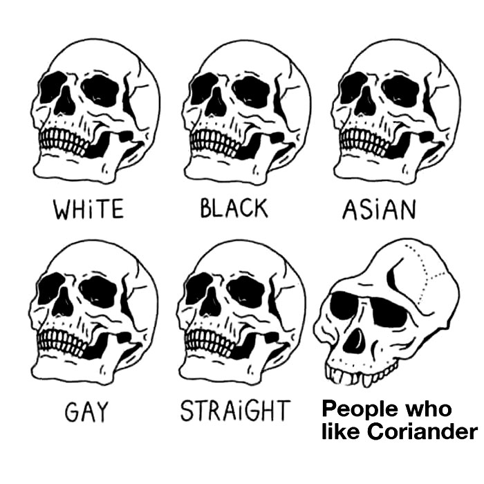 I Hate Coriander