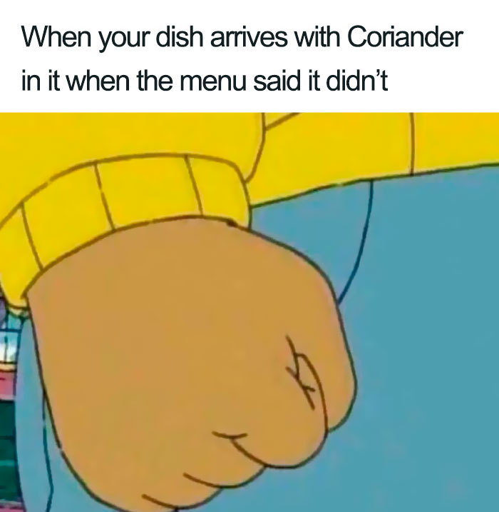 I Hate Coriander