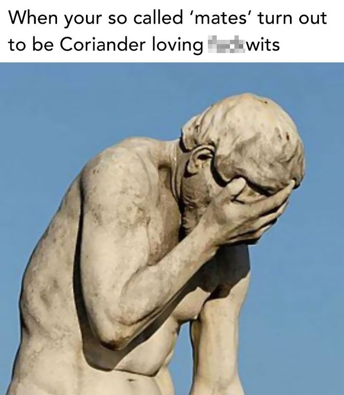 I Hate Coriander