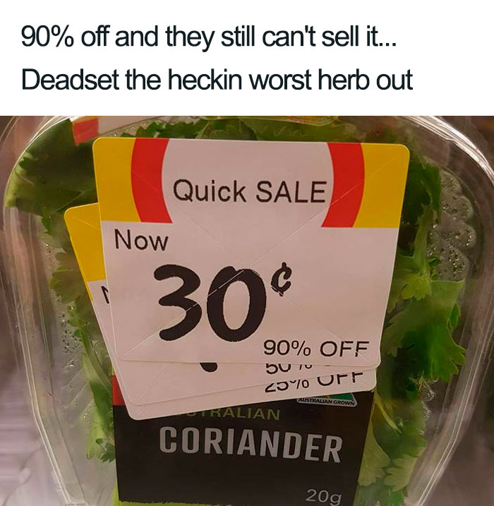 I Hate Coriander
