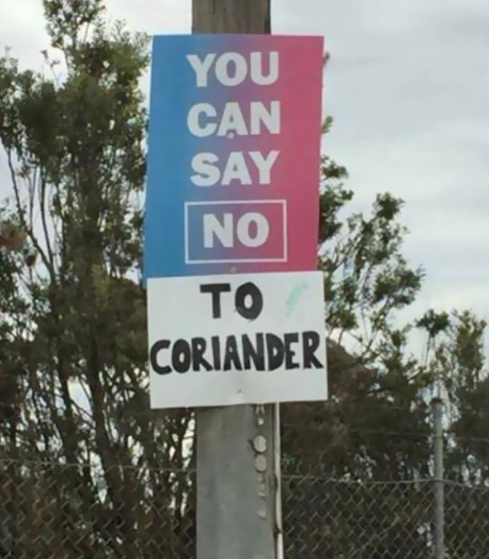 I Hate Coriander