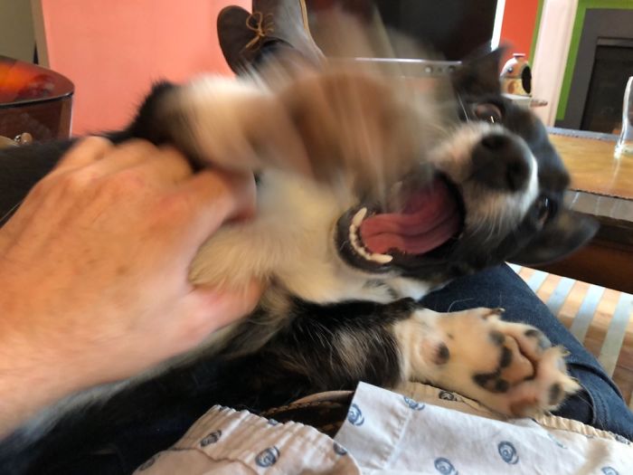 I Just Wanted Some Cuddles