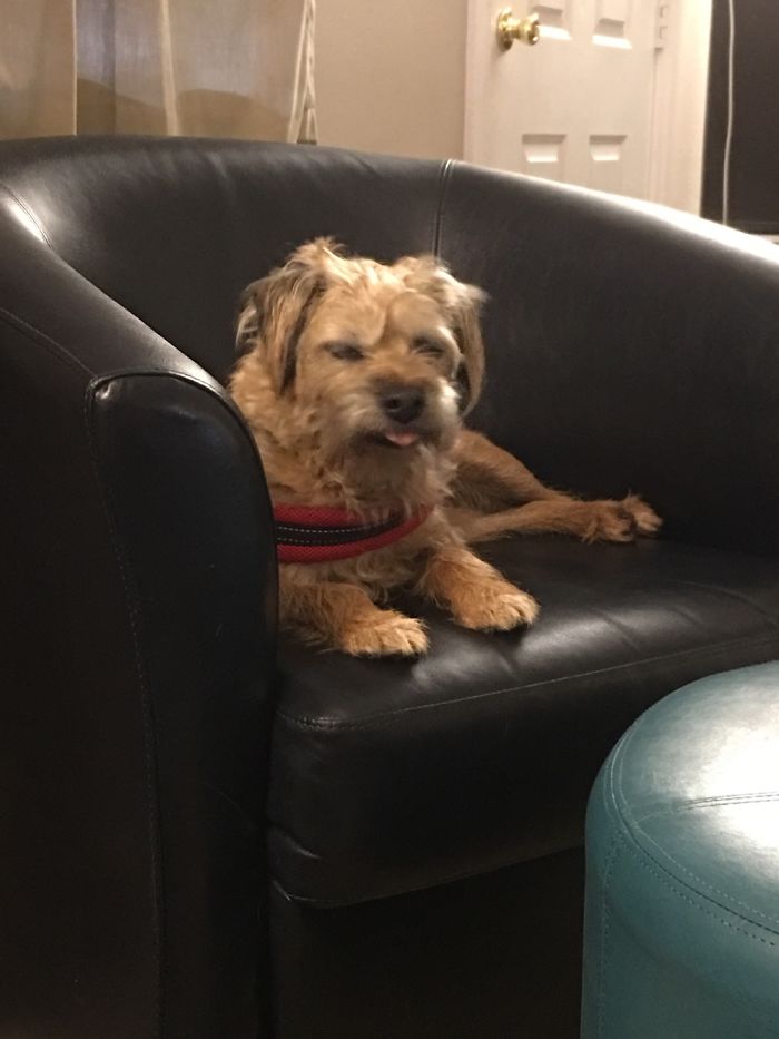 Jordan Refusing To Take A “Normal” Photo