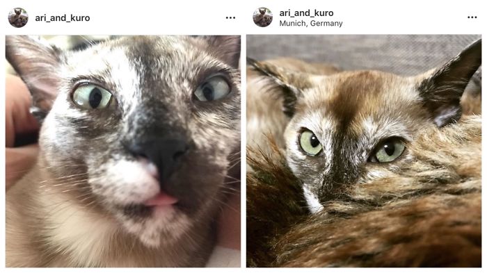 Ari Is Equal Parts Doofus And Pretty Princess.