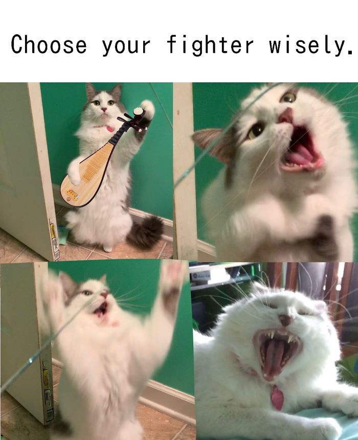 Tiff Has Lots Of Pictures Of Her Being Unflattering!