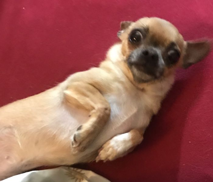 Caught In The Moment She Started Rolling