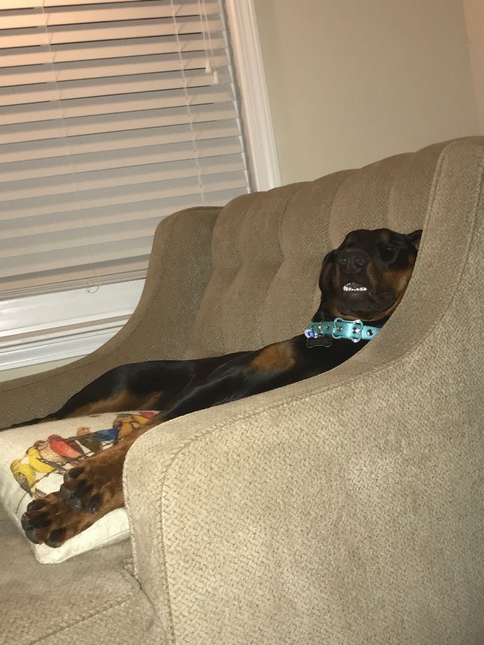 Pippi- So Humanlike When She Sleeps!