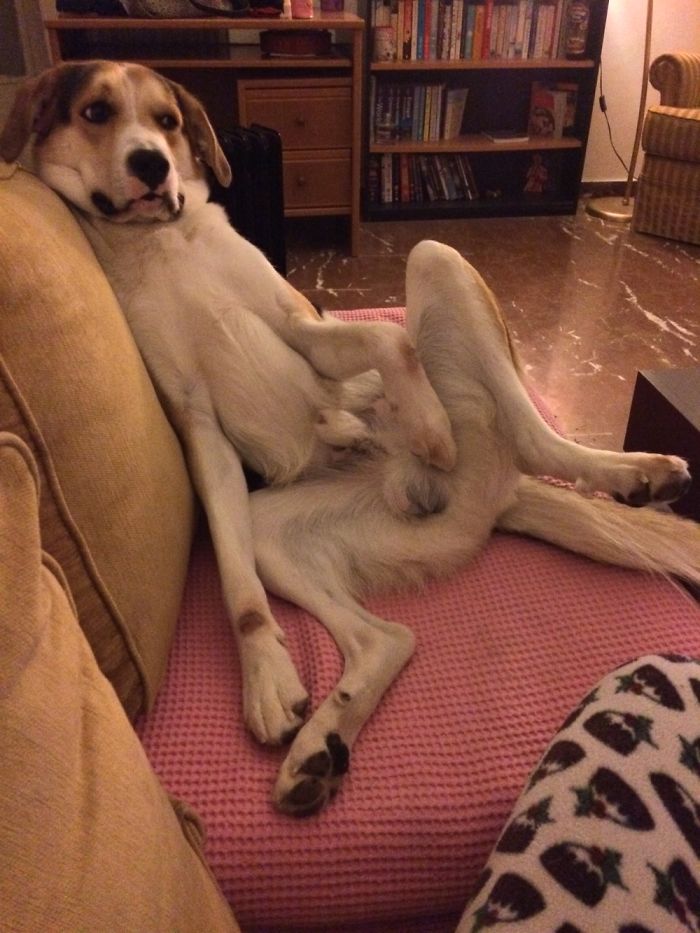 Netflix & Chill The Squeak Way