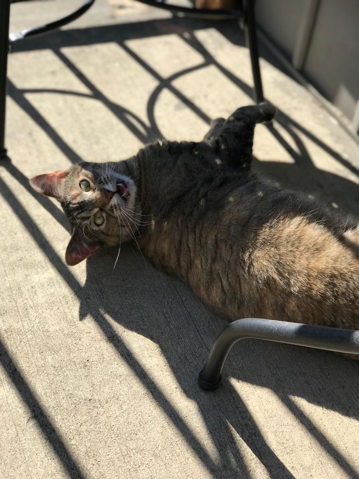 May Hates It When You Interrupt Her Private Time