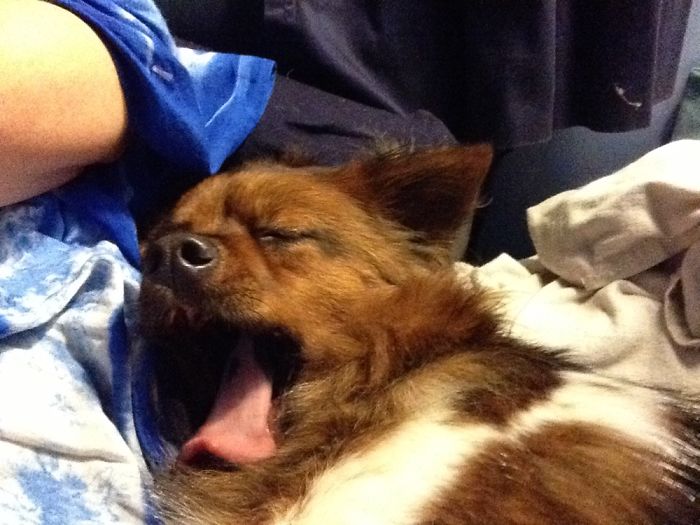 Medicated In Preparation Of All The Forth Of July Fireworks