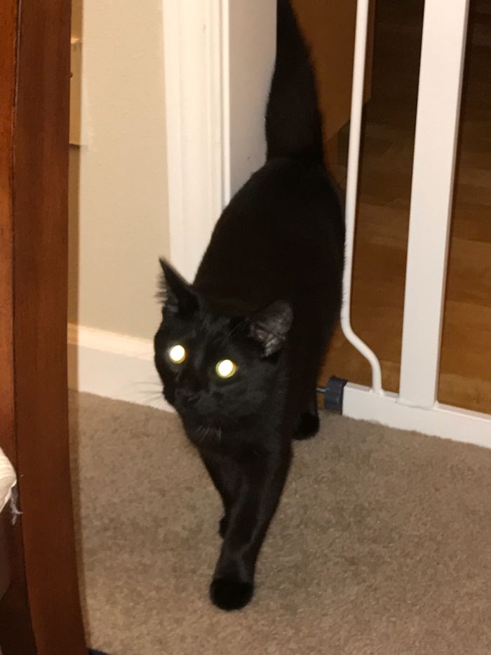 “Give Me A Treat And I’ll Tell You How You’ll Die” - Pippin, The Fortune Teller