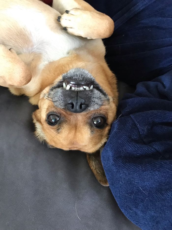 Usually, She’s Really Pretty.