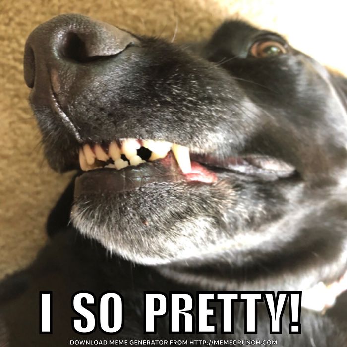 Nikki Is A Very Good Girl