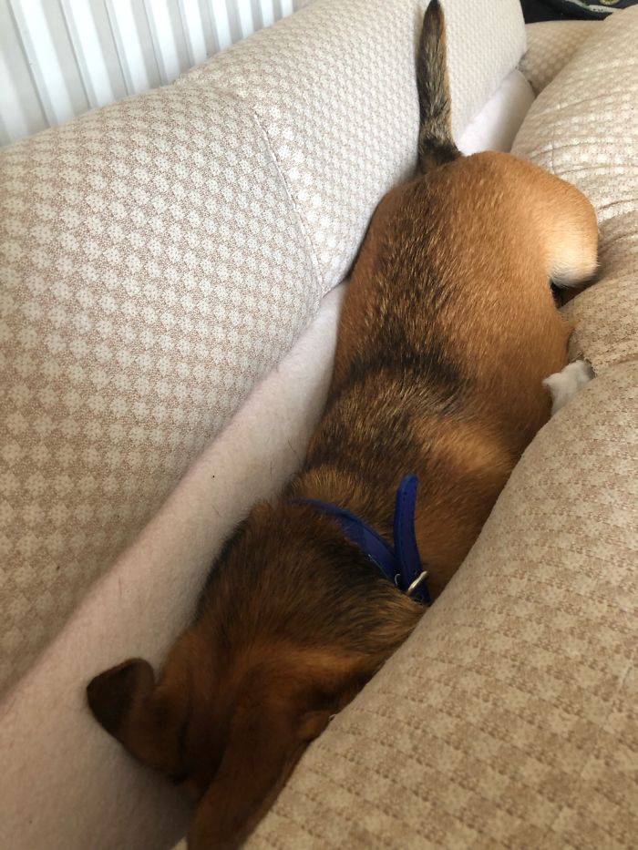 Fudge Not Facing His Responsibilities