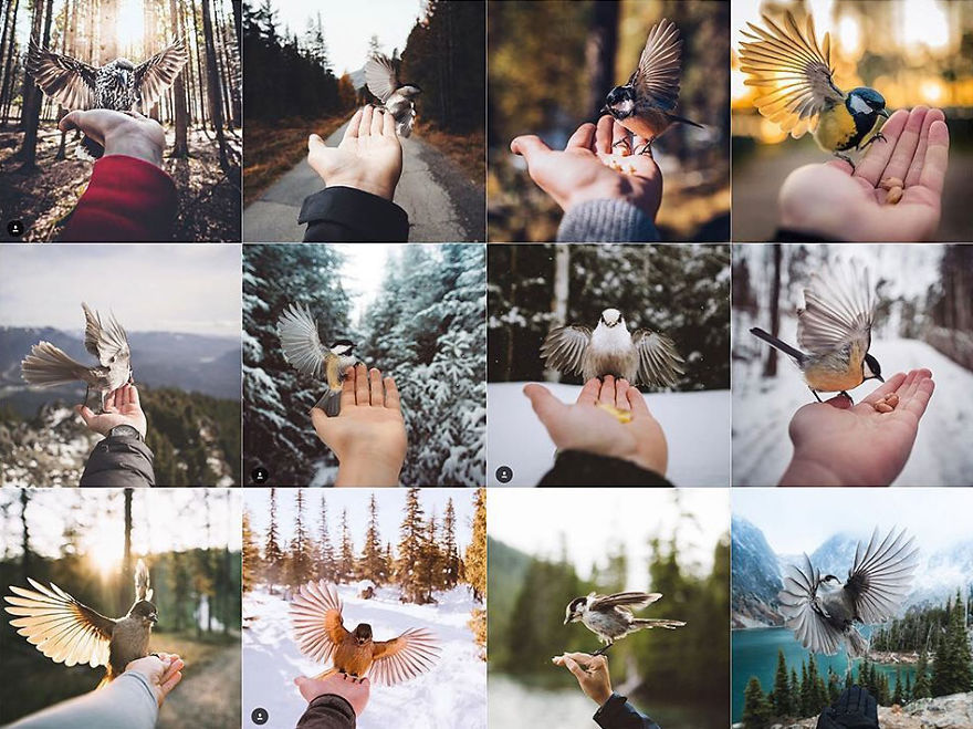 I Don’t Think You Are Supposed To Feed The Wild Animals