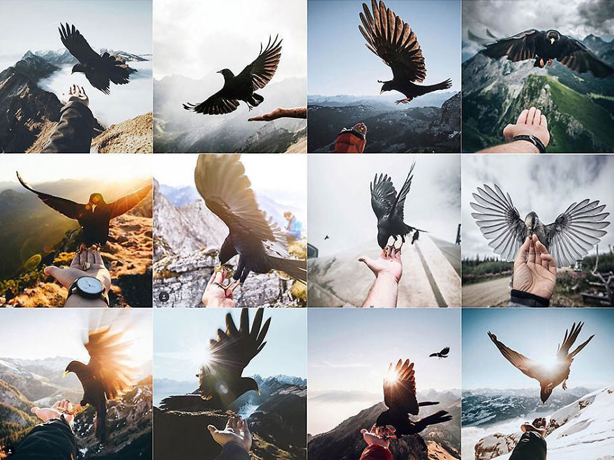 I Don’t Think You Are Supposed To Feed The Wild Animals