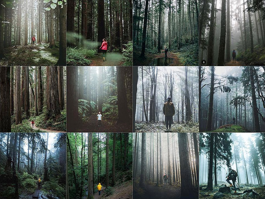 Person Centered In A Forest Captured On A Wider Lens So There Is Slight Distortion Seen In The Trees