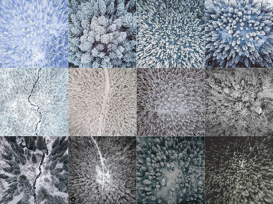 Winter Drone From Directly Overhead Looking Down On Trees