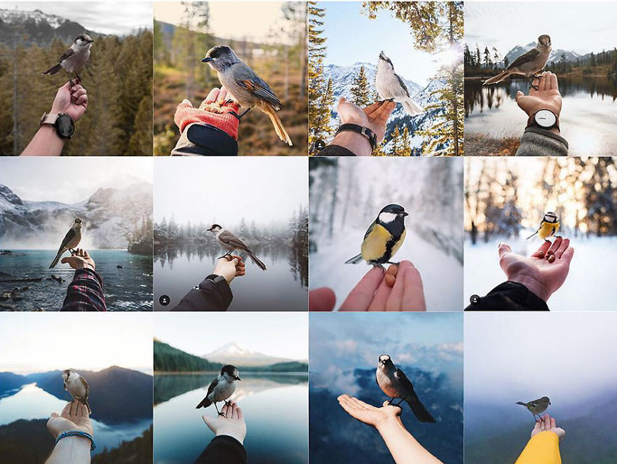 Don’t Feed The Wild Animals!