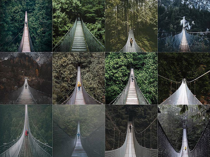 Bridges In The Woods With A Person