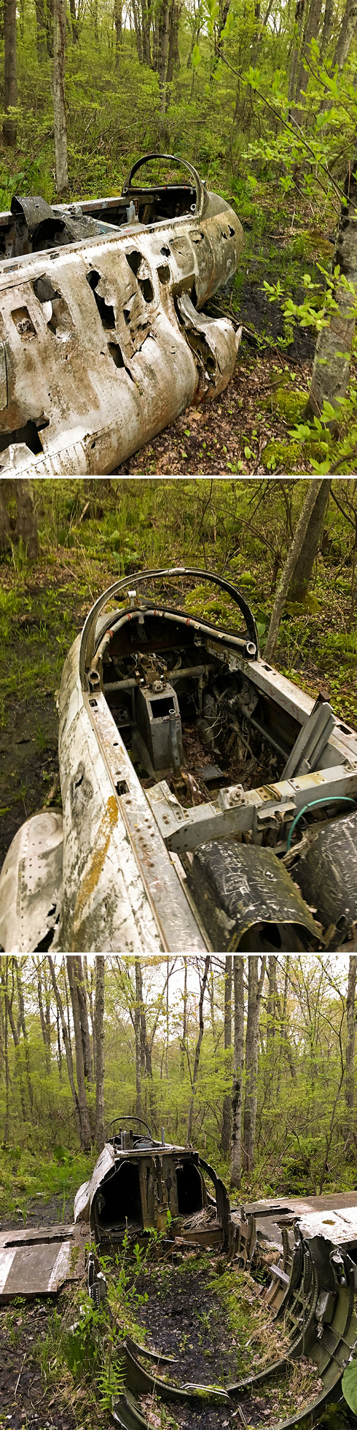 Crashed Military Jet From 1962 Found In The Woods Of New Jersey