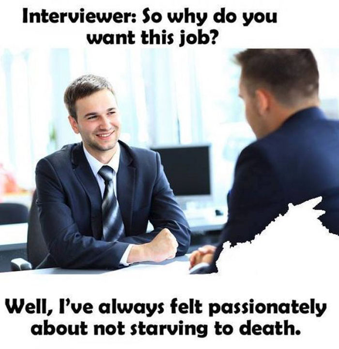 job-interview-memes.