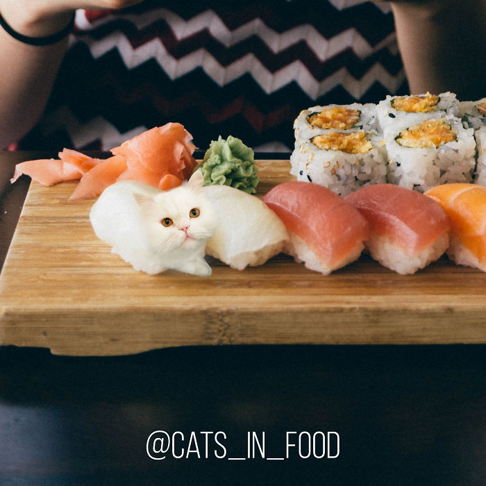 Cats In Food Photoshop