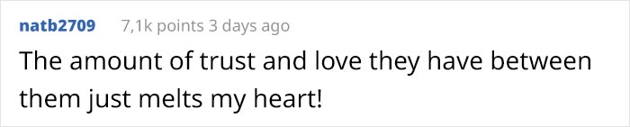 This Blind Golden Retriever And His Guide Dog Best Friend Are Warming People's Hearts This Blind Golden Retriever And His Guide Dog Best Friend Are Warming People's Hearts