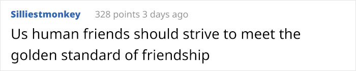 This Blind Golden Retriever And His Guide Dog Best Friend Are Warming People's Hearts This Blind Golden Retriever And His Guide Dog Best Friend Are Warming People's Hearts