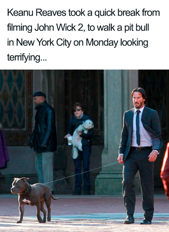 Funny-Keanu-Reeves-Memes