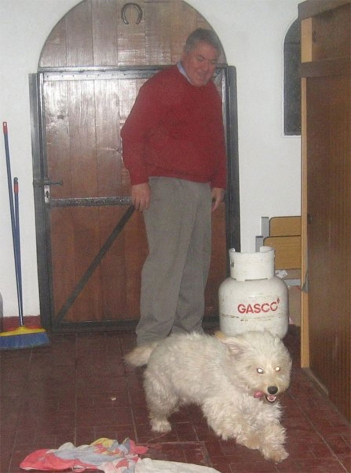 He Always Makes Me Laugh