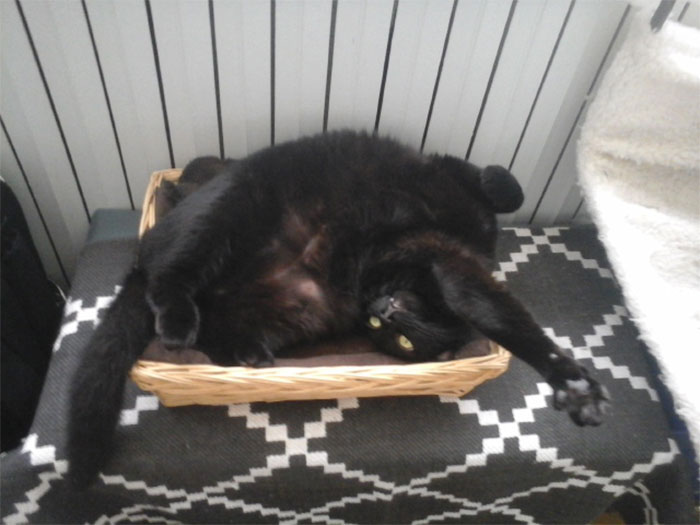 If Fifs Fifs I Fitfs!