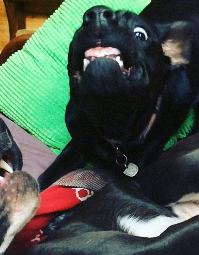 My Precious Baby...playtime In Slow Motion