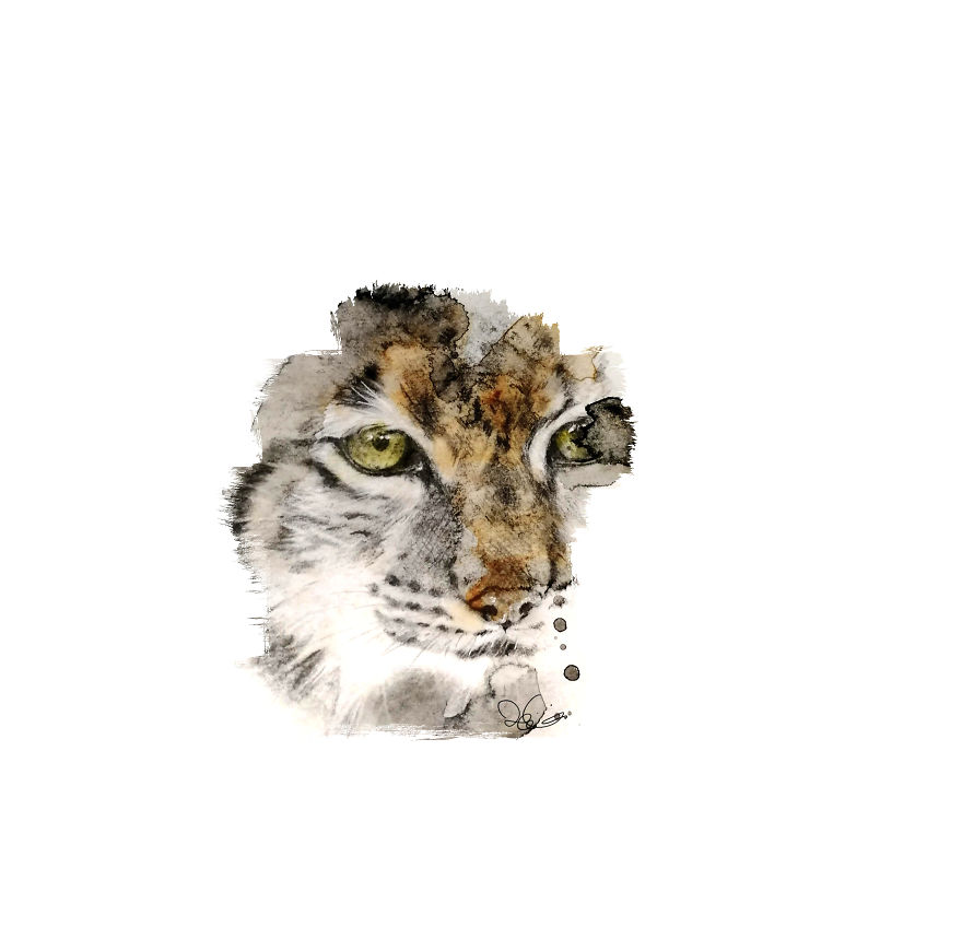 I Started Drawing Animals For First Time In Years And Learned A New Art Style Along The Way I Started Drawing Animals For First Time In Years And Learned A New Art Style Along The Way