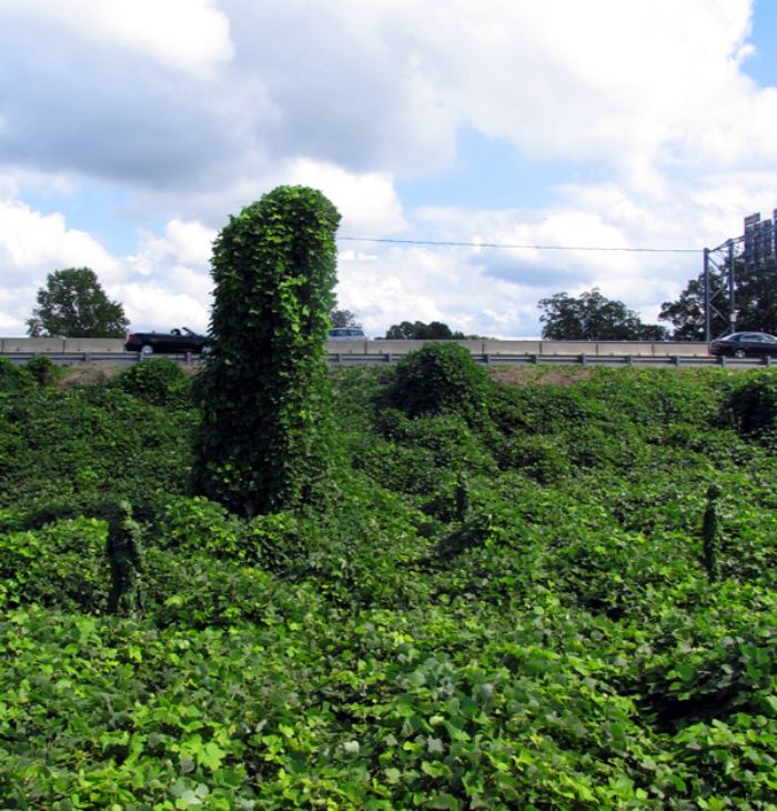 Mannequins-City-Street-Art-Installation-Trolling-Sculptor-Artist-Mark-Jenkins