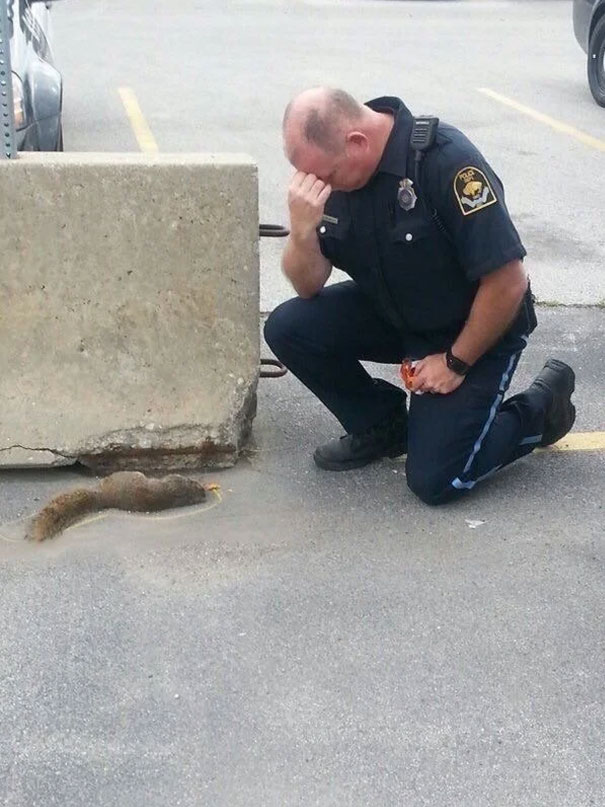 Meanwhile In Nebraska